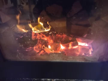 [Hearth.com] What Is In Your Stove Right Now?