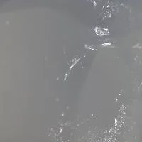 [Hearth.com] creosote build up