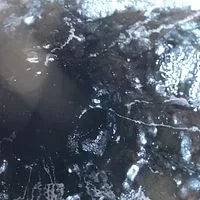 [Hearth.com] creosote build up