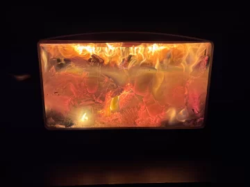 [Hearth.com] What Is In Your Stove Right Now?