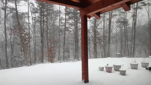 [Hearth.com] Is this it?