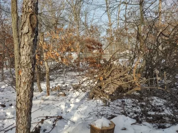 [Hearth.com] Work Done In 2026