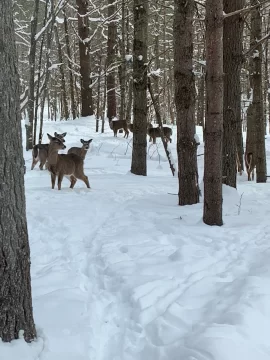 [Hearth.com] Work Done In 2026