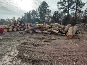 [Hearth.com] Mine...all mine...