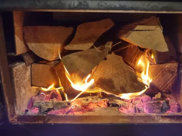 [Hearth.com] What Is In Your Stove Right Now?