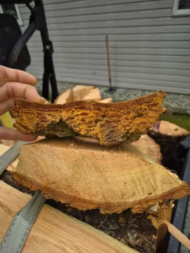 [Hearth.com] Douglas Fir bark