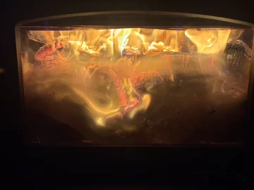 [Hearth.com] What Is In Your Stove Right Now?