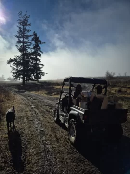 [Hearth.com] Work Done In 2026