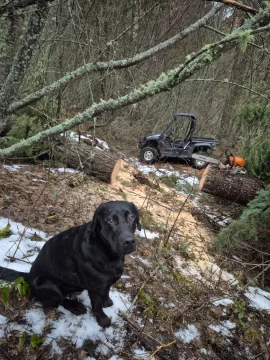 [Hearth.com] Work Done In 2026