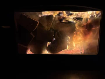 [Hearth.com] What Is In Your Stove Right Now?