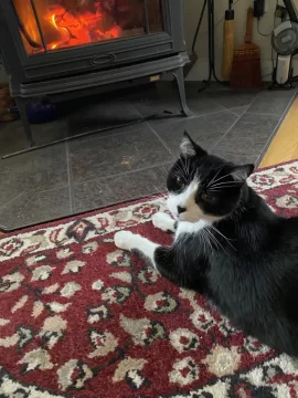 [Hearth.com] Catalytic burn times