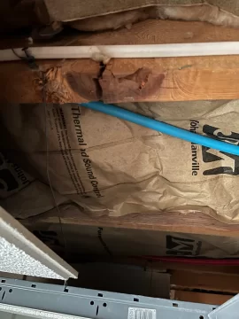 [Hearth.com] Is the big damage?