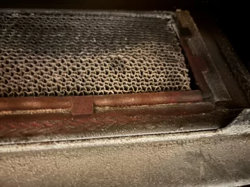 [Hearth.com] Should my Cat be repallced ?