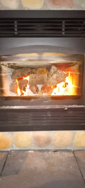 [Hearth.com] What Is In Your Stove Right Now?