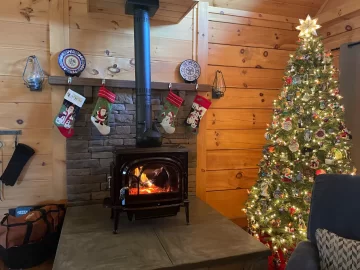 [Hearth.com] Jotul ID and how to clean from bottom up