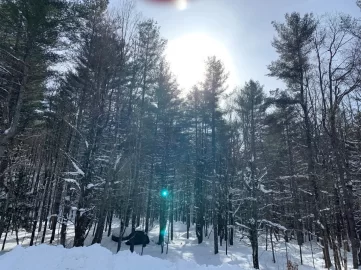 [Hearth.com] Work Done In 2026