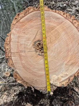[Hearth.com] Douglas Fir bark