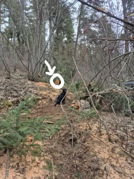 [Hearth.com] Douglas Fir bark