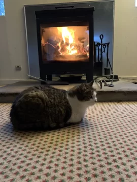 [Hearth.com] What Is In Your Stove Right Now?