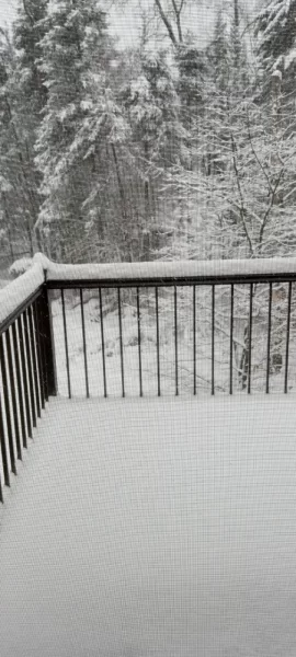 [Hearth.com] What Is In Your Stove Right Now?