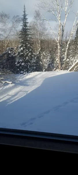 [Hearth.com] Work Done In 2026