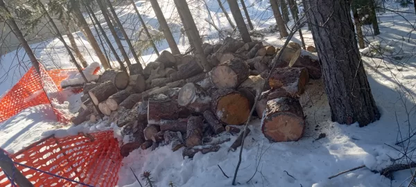 [Hearth.com] Work Done In 2026