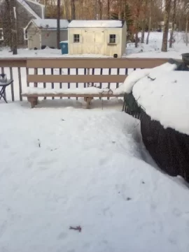 [Hearth.com] 2026 severe weather