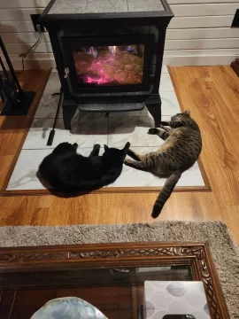 [Hearth.com] Smoke fills house