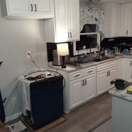 [Hearth.com] Dishwasher drain straight down into basement sink?