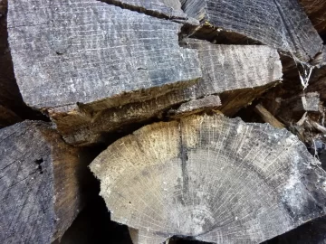 [Hearth.com] What Species?