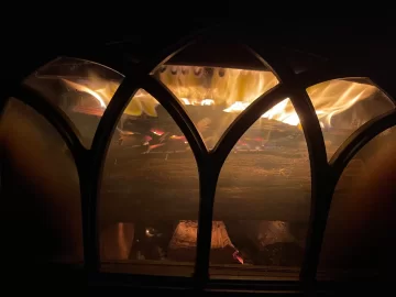 [Hearth.com] What Is In Your Stove Right Now?