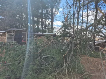 [Hearth.com] Work Done In 2026