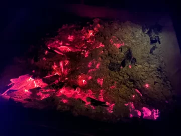 [Hearth.com] What Is In Your Stove Right Now?