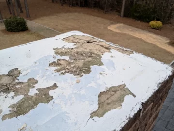 [Hearth.com] Stainless steel  chimney crown cover