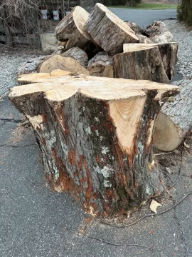 [Hearth.com] Wood ID