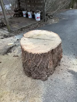 [Hearth.com] Wood ID