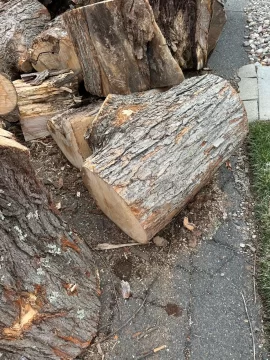 [Hearth.com] Wood ID