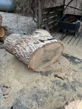 [Hearth.com] Wood ID