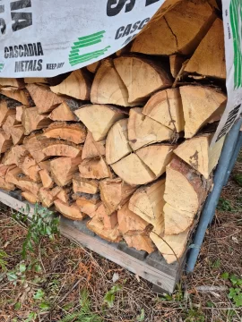 [Hearth.com] Wood ID... Feel like a noob...