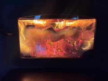 [Hearth.com] What Is In Your Stove Right Now?