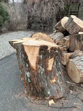 [Hearth.com] Wood ID