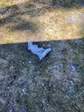 [Hearth.com] Season 15 with the E100 Wood Gun begins.