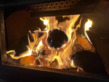 [Hearth.com] What Is In Your Stove Right Now?