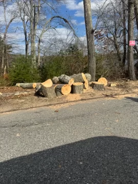 [Hearth.com] What have we got here?