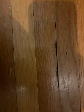 [Hearth.com] Hardwood floor bug damage?