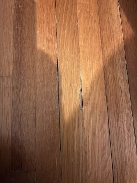 [Hearth.com] Hardwood floor bug damage?