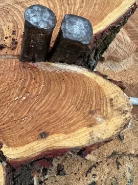 [Hearth.com] Wood ID