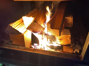 [Hearth.com] What Is In Your Stove Right Now?