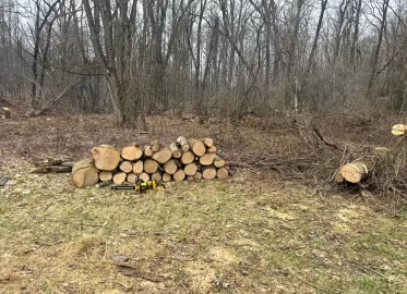 [Hearth.com] Too Sketchy to Drop?