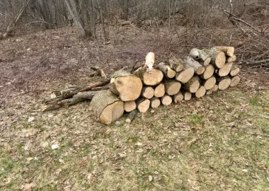 [Hearth.com] Too Sketchy to Drop?